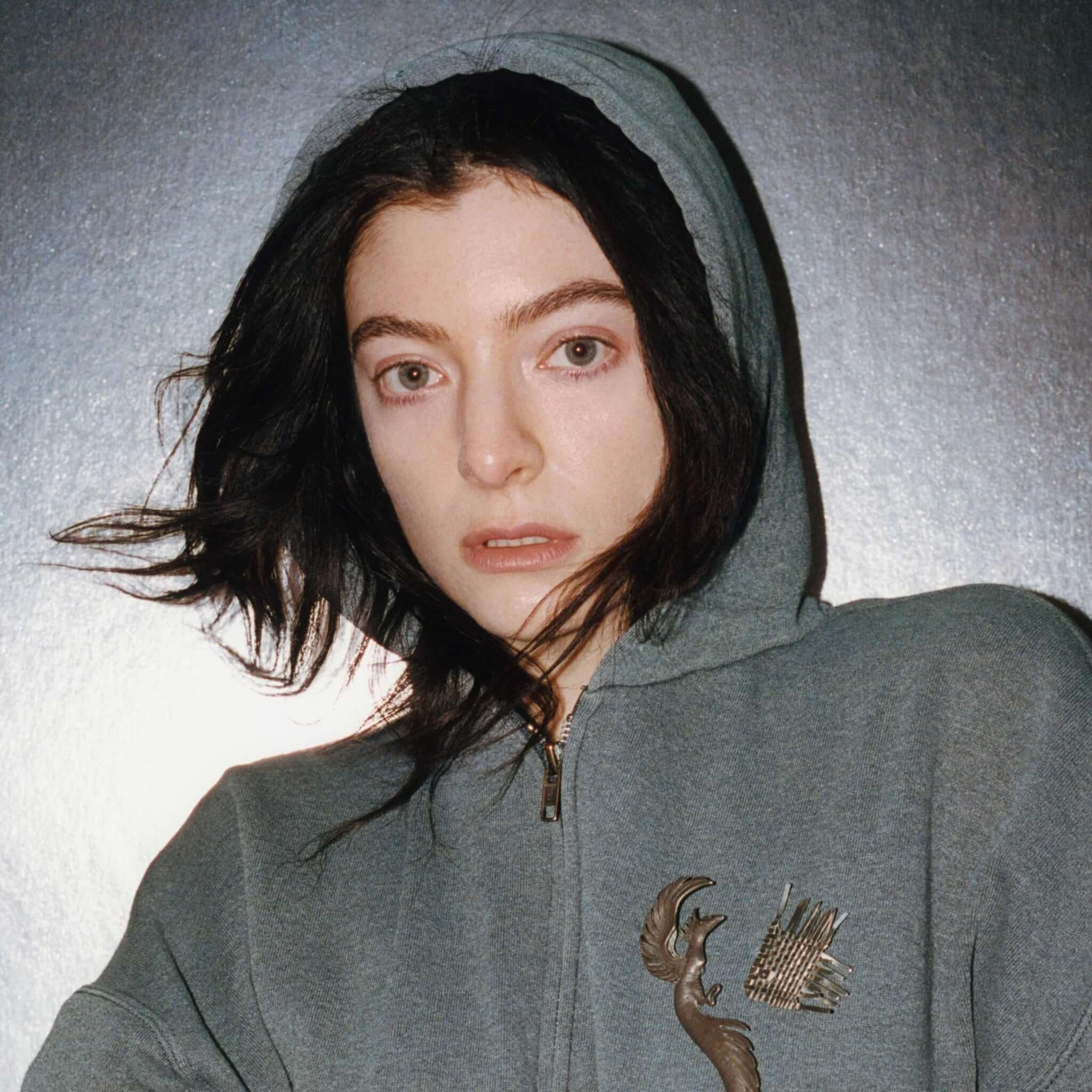 Translation missing: it.Lorde - Plastic Books: Lorde